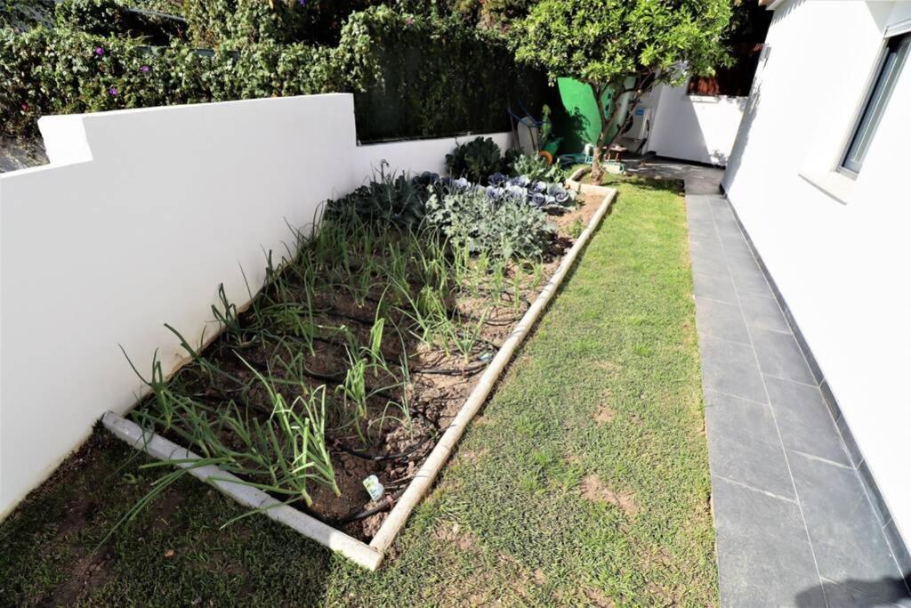 Hoyo 19 Villa Marbella Eksteriør billede